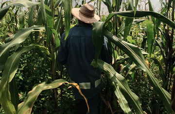 labor-trafficking labor-trafficking