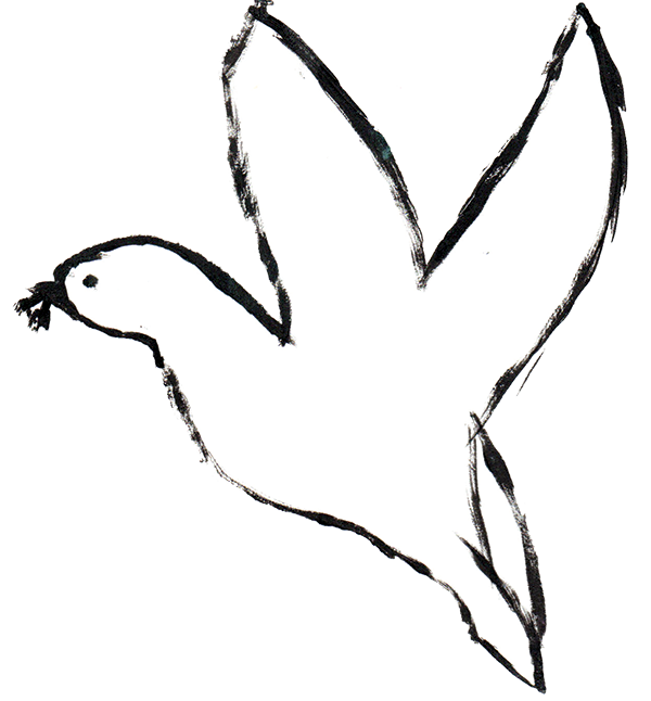 Illustrated dove